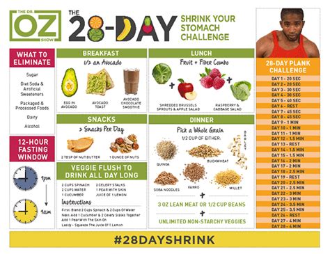 dr oz 28 day diet